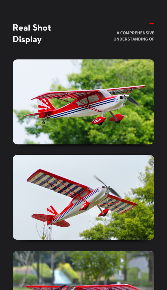 OMPHobby Super Decathlon green 1400mm PNP